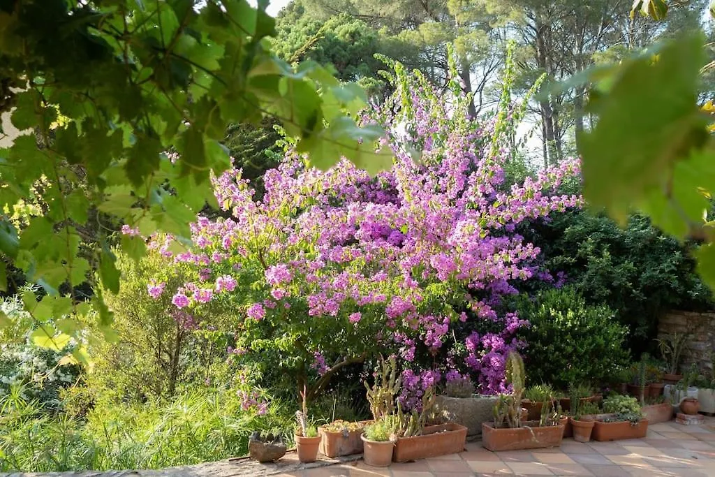 Cal Melu Villa Begur 0*,